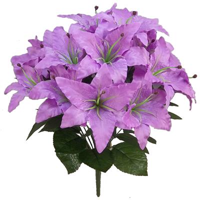 catelog
