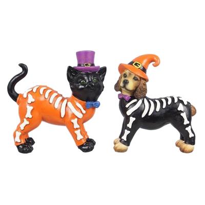 catelog