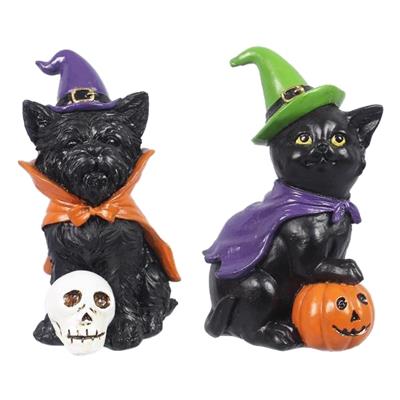 catelog
