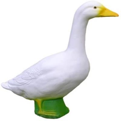 catelog