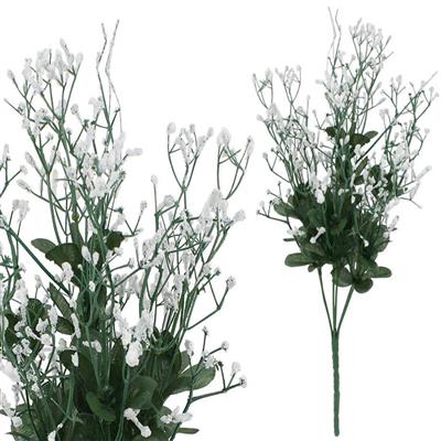 catelog