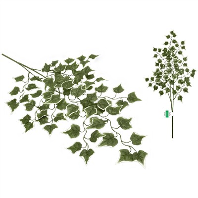 catelog