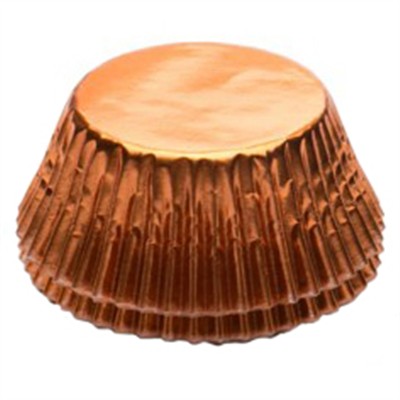 catelog