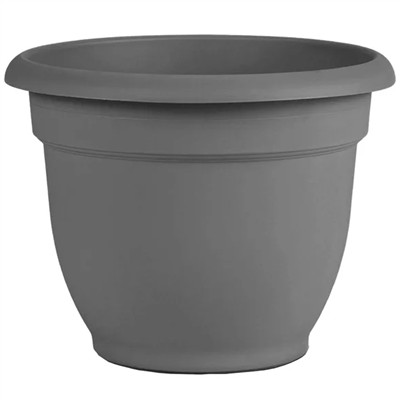 catelog